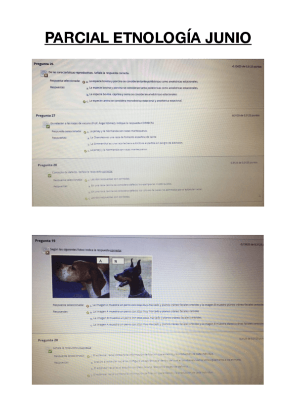 Miniatura del documento PARCIAL-ETNOLOGIA-JUNIO-2021.pdf