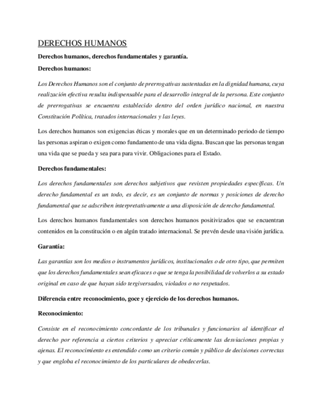 Miniatura del documento DERECHOS-HUMANOS.pdf