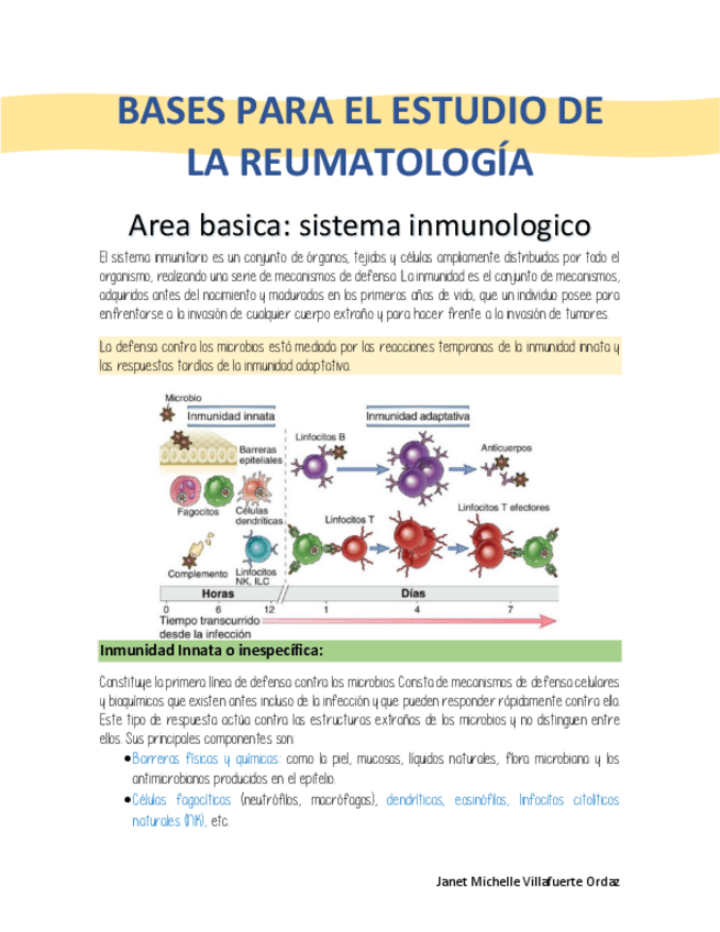 Miniatura del documento Conceptos-basicos-en-reumatologia.pdf