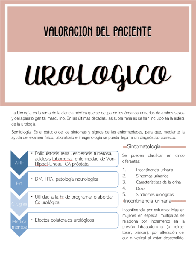 Miniatura del documento VALORACION-DEL-PACIENTE-UROLOGICO.pdf