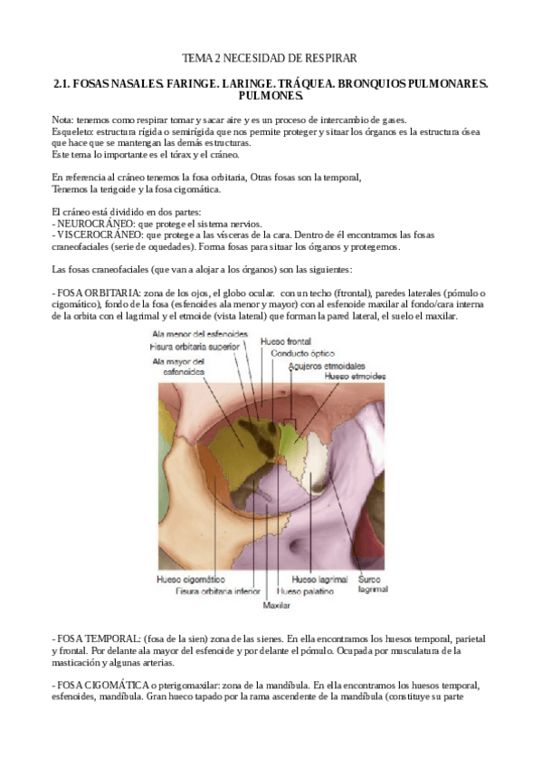 Miniatura del documento 2.pdf