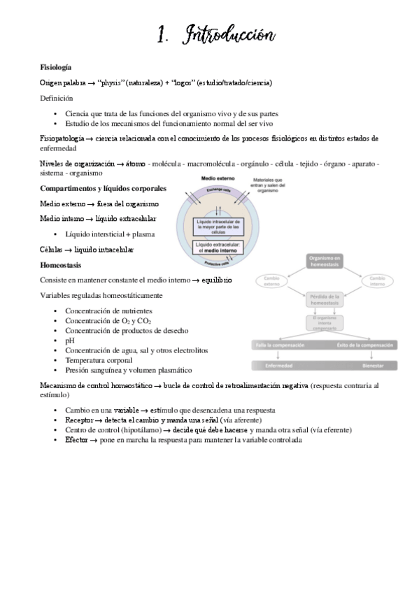 Miniatura del documento Bloque 1 fisiología celular (temas 1-4)