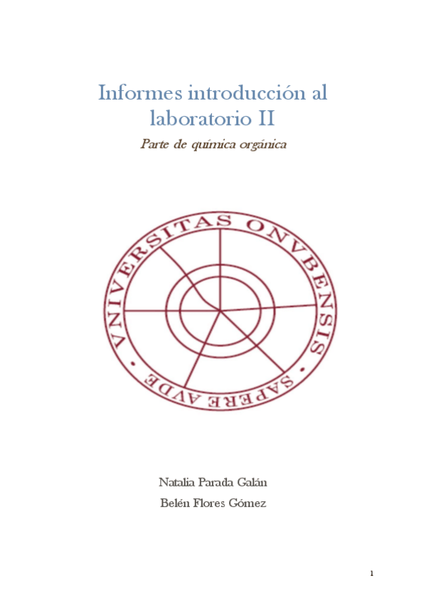 Miniatura del documento labquimico2.pdf