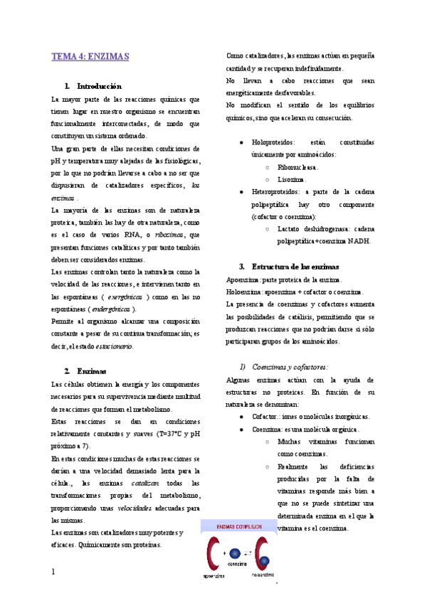 Miniatura del documento TEMA-4-ENZIMAS.pdf