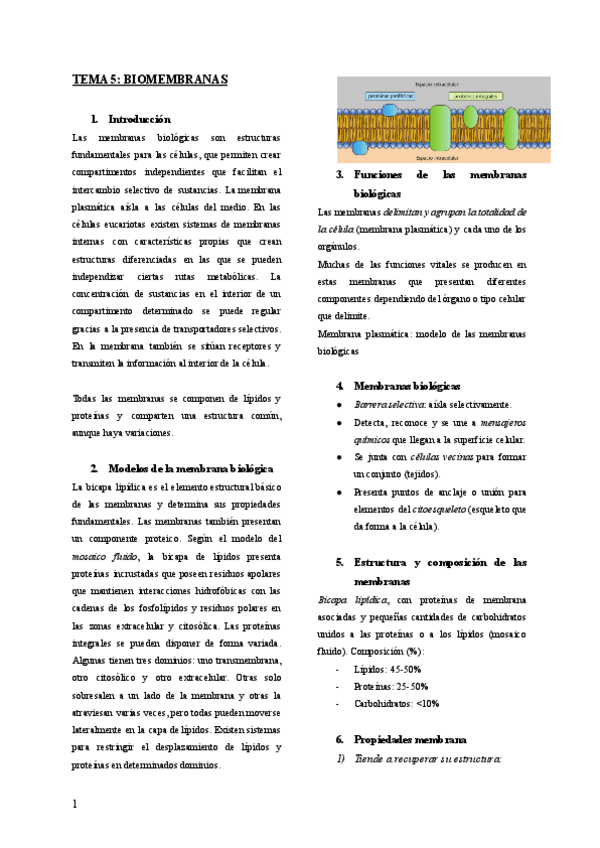 Miniatura del documento Tema-5-bioq.pdf