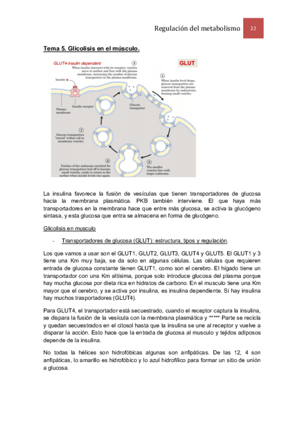 Miniatura del documento Tema 5.pdf