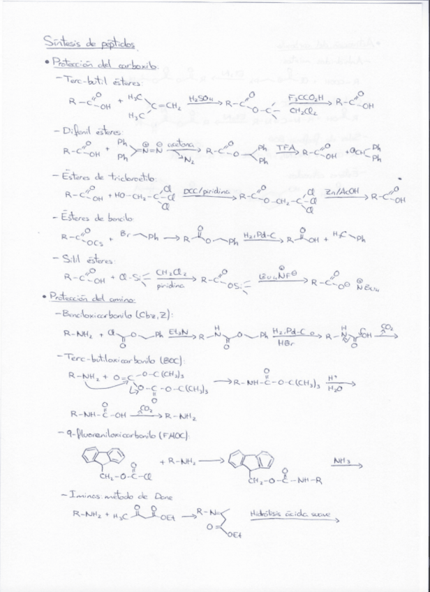 Miniatura del documento síntesis de peptidos.pdf