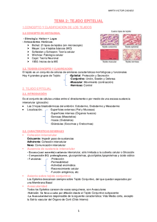 Miniatura del documento TEJIDO-EPITELIAL.pdf
