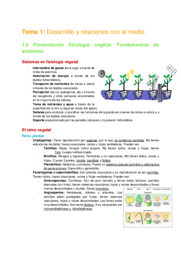 Miniatura del documento Tema-1-Desarrollo-y-relaciones-con-el-medio.pdf