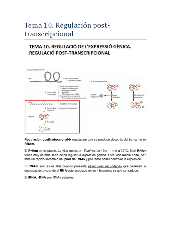 Miniatura del documento Tema-10.pdf