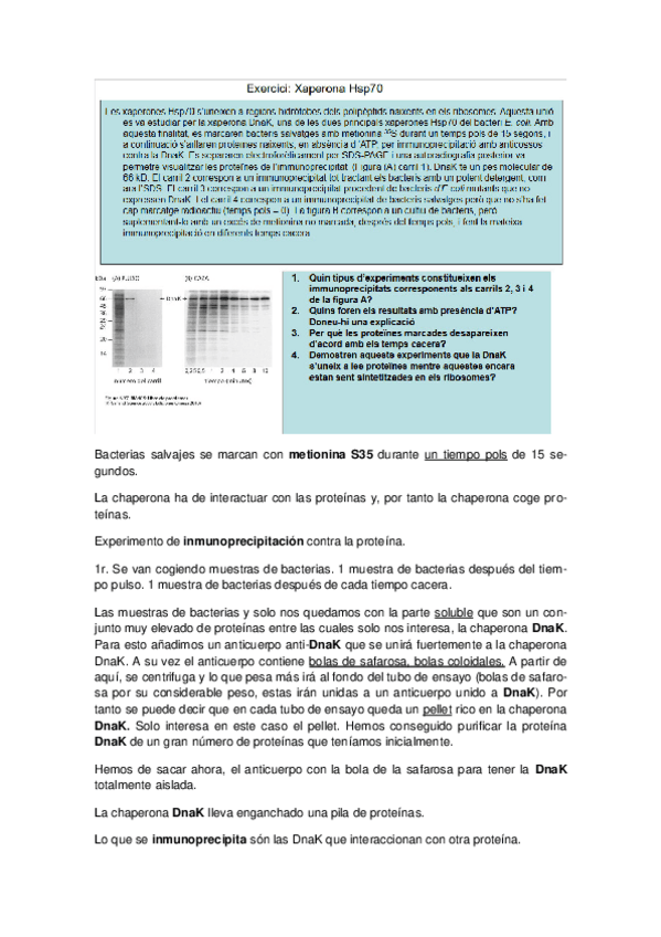 Miniatura del documento Seminario-2.pdf