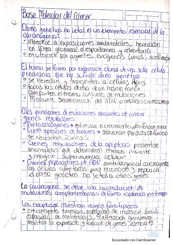 Miniatura del documento patologia-base-molecular-del-cancer.pdf