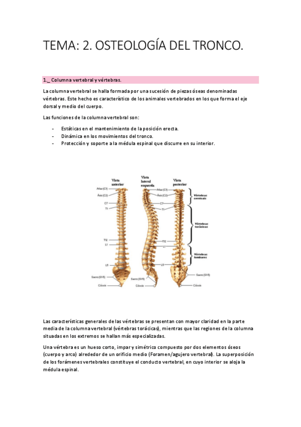 Miniatura del documento Tema-2.pdf
