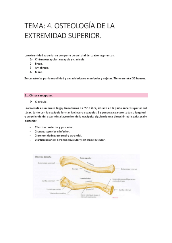 Miniatura del documento Tema-4.pdf