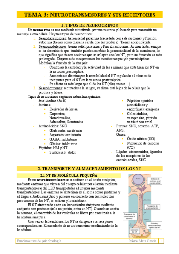 Miniatura del documento TEMA 3. NT y sus receptores