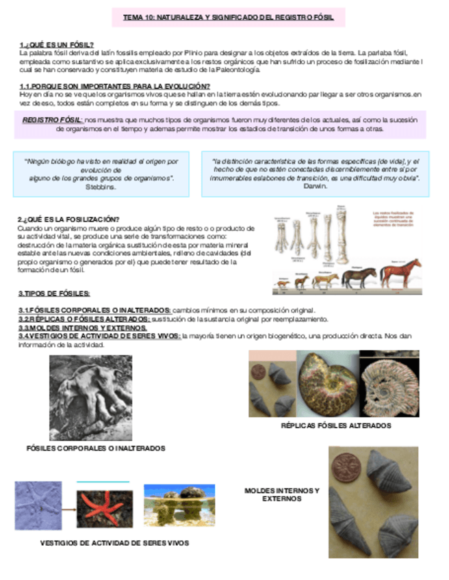 Miniatura del documento TEMA-10-NATURALEZA-Y-SIGNIFICADO-DEL-REGISTRO-FOSIL-.pdf
