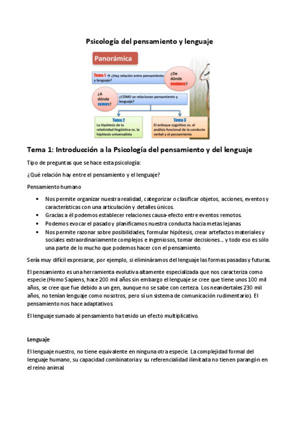 Miniatura del documento Psicologia-del-pensamiento-y-lenguaje.pdf