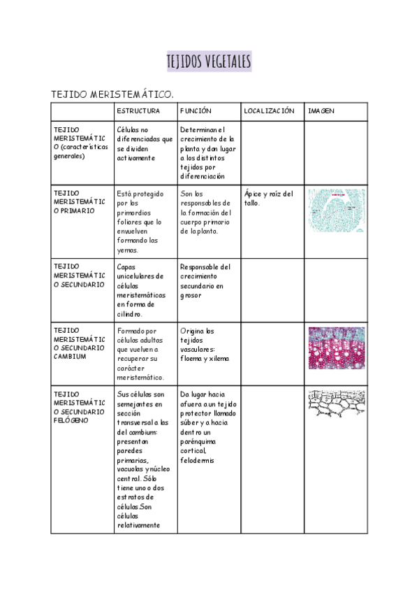 Miniatura del documento TEJIDOS-VEGETALES.pdf
