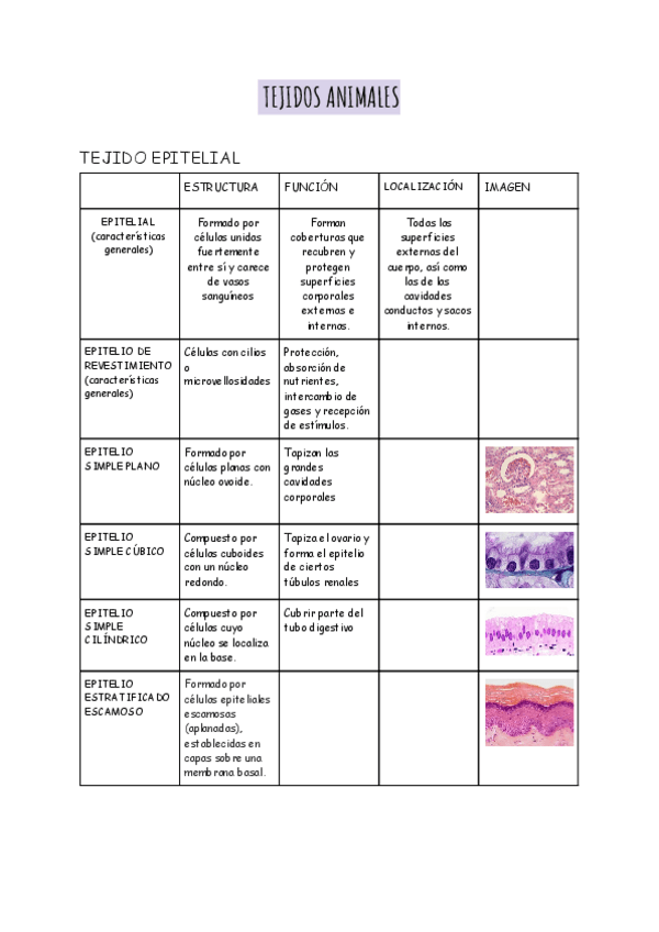 Miniatura del documento TEJIDOS-ANIMALES-.pdf