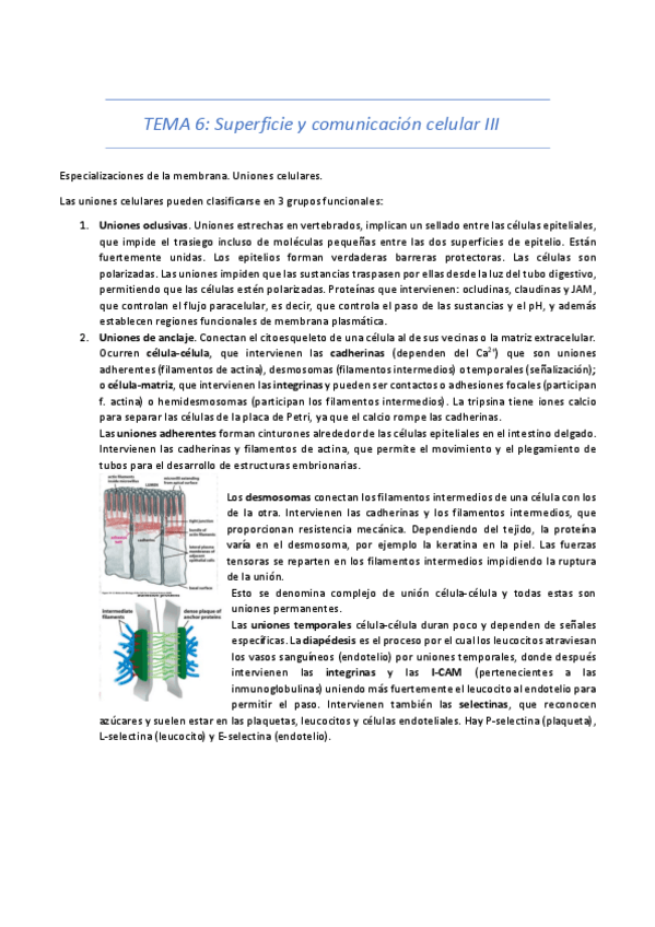 Miniatura del documento TEMA-6-21-22.pdf