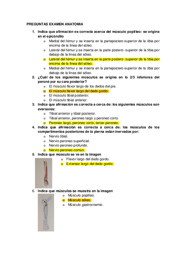 Miniatura del documento preguntes-EXAMEN-ANATOMIA.pdf