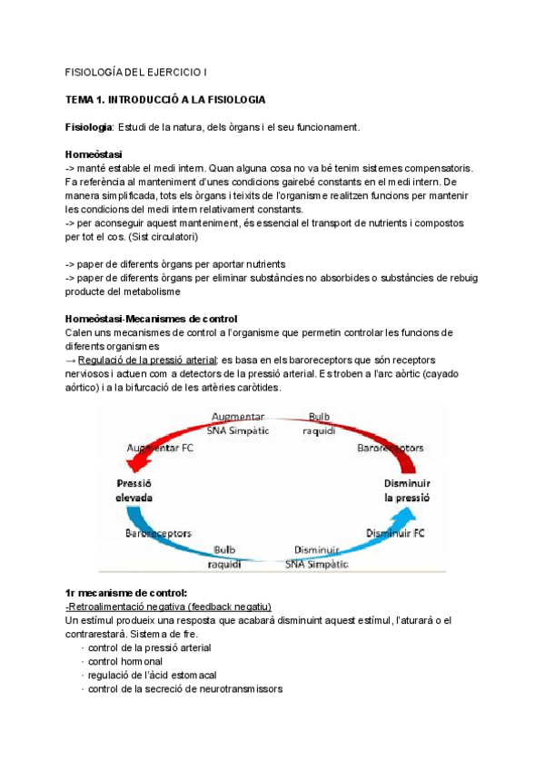 Miniatura del documento APUNTS-FISIOLOGIA-I.pdf