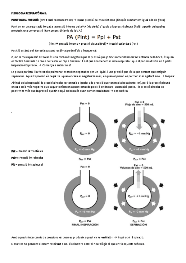 Miniatura del documento FISOLOGIA-RESPIRATORIA-II-1.pdf