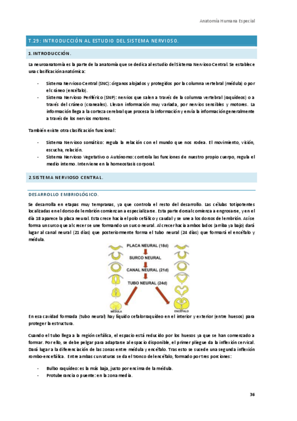 Miniatura del documento Anatomia-Humana-Especial-6.pdf