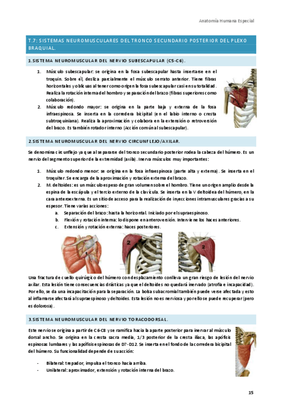 Miniatura del documento Anatomia-Humana-Especial-2.pdf