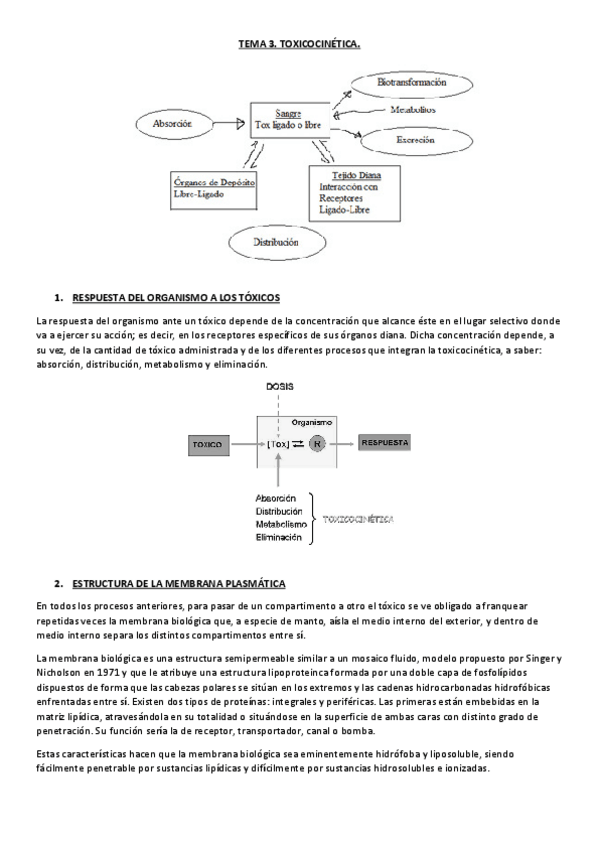 Miniatura del documento TEMA-3. Toxicocinética