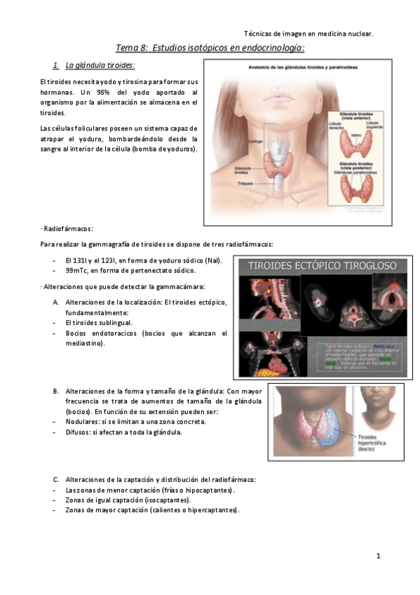Miniatura del documento Tema-8.pdf