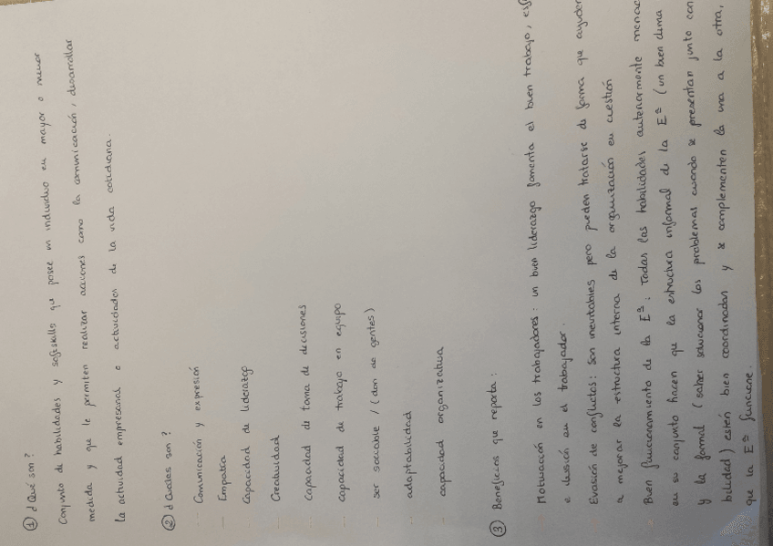 Miniatura del documento QUE-SON-LAS-HABILIDADES.pdf