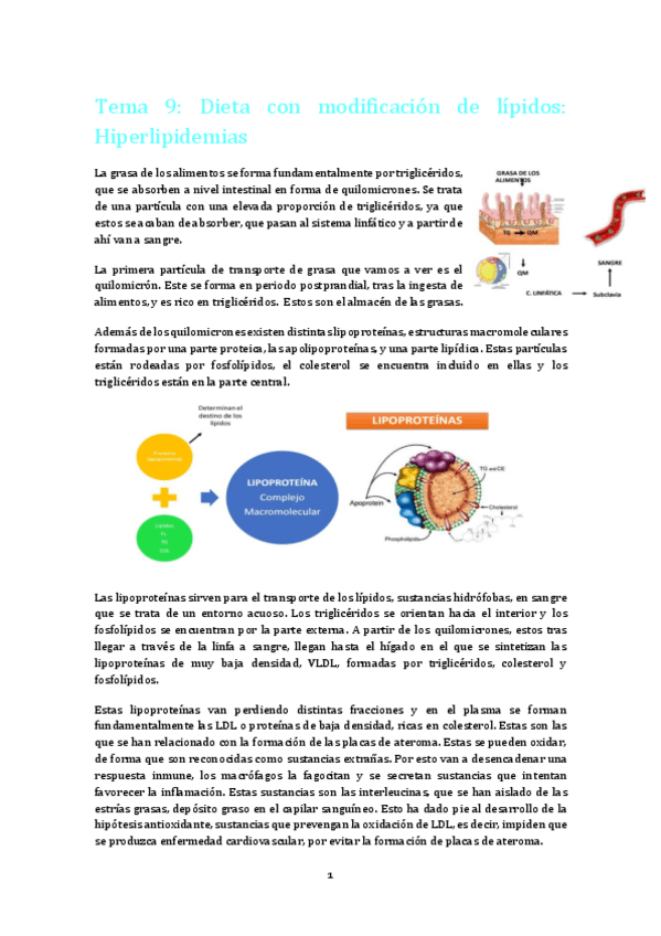 Miniatura del documento Tema hiperlipidemias 2º parcial.pdf