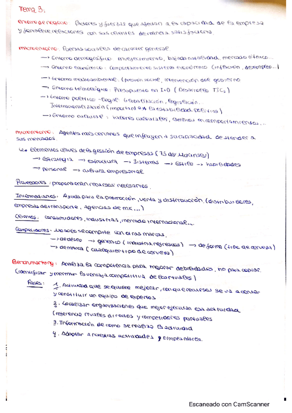 Miniatura del documento TEMA3.pdf