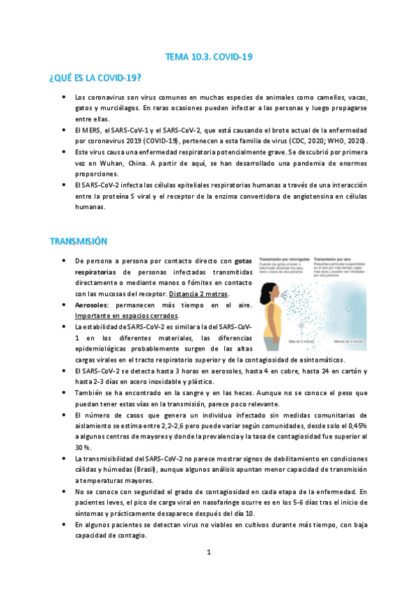 Miniatura del documento T10-3-SARS-COV-2.pdf