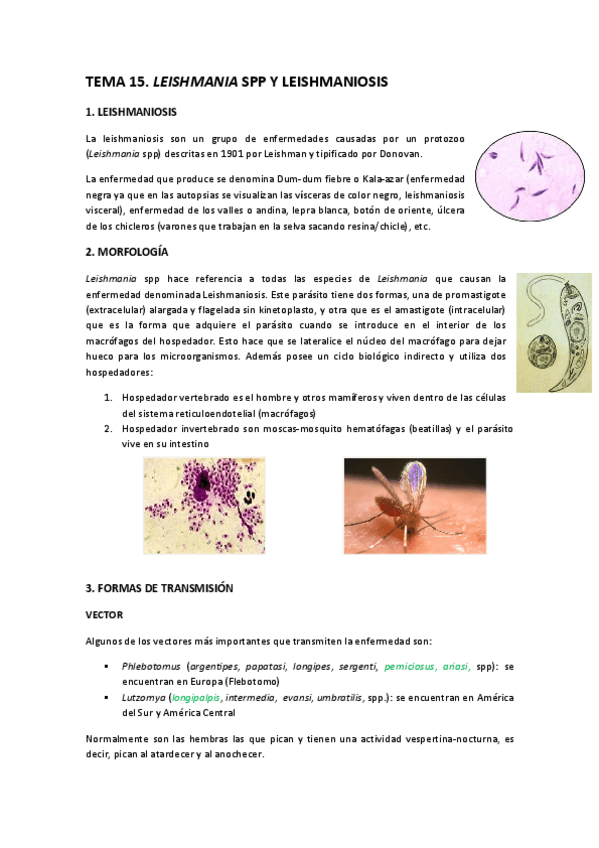 Miniatura del documento TEMA-15-Leishmania-spp-y-Leishmaniosis.pdf
