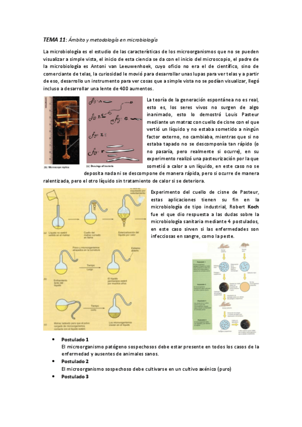 Miniatura del documento micro-apuntes-completos.pdf