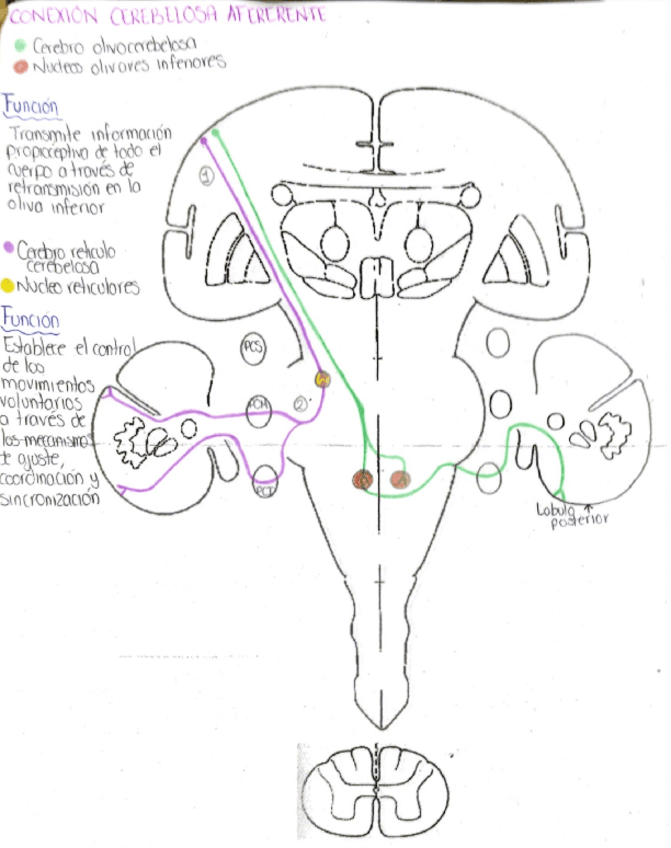 Miniatura del documento vias-.pdf
