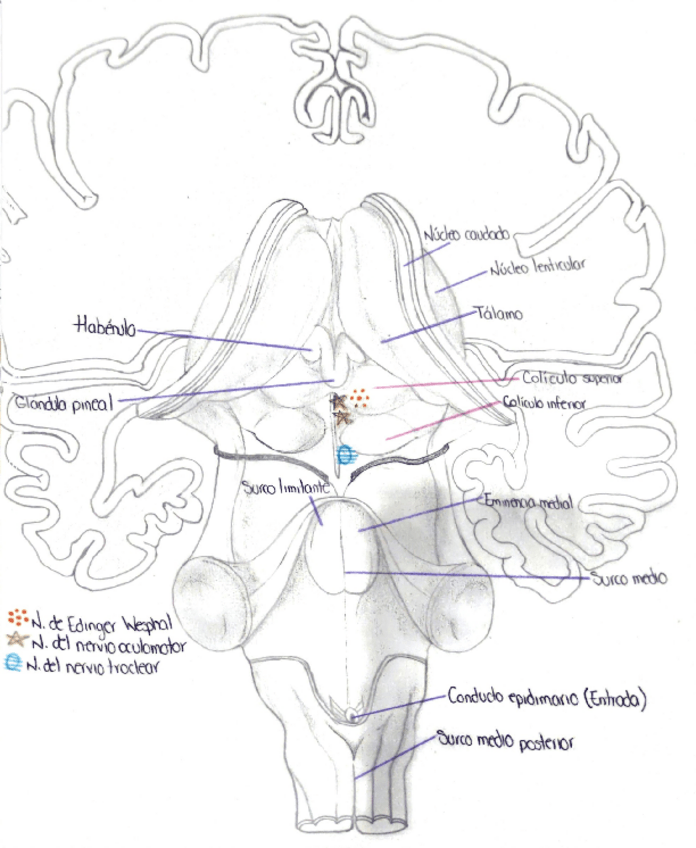 Miniatura del documento mescen.pdf