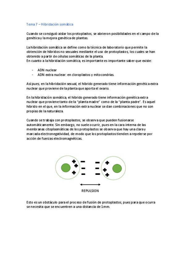 Miniatura del documento Tema-7.pdf