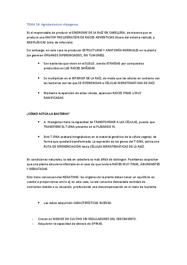 Miniatura del documento TEMA-14.pdf