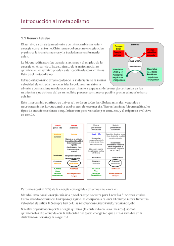 Miniatura del documento 1-Introduccion-al-metabolismo.pdf