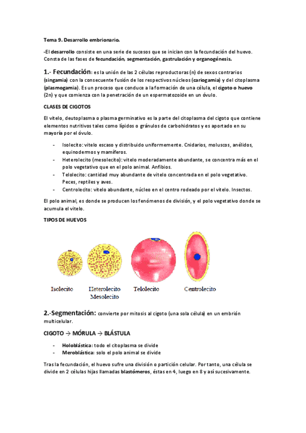 Miniatura del documento Segundo-parcial.pdf