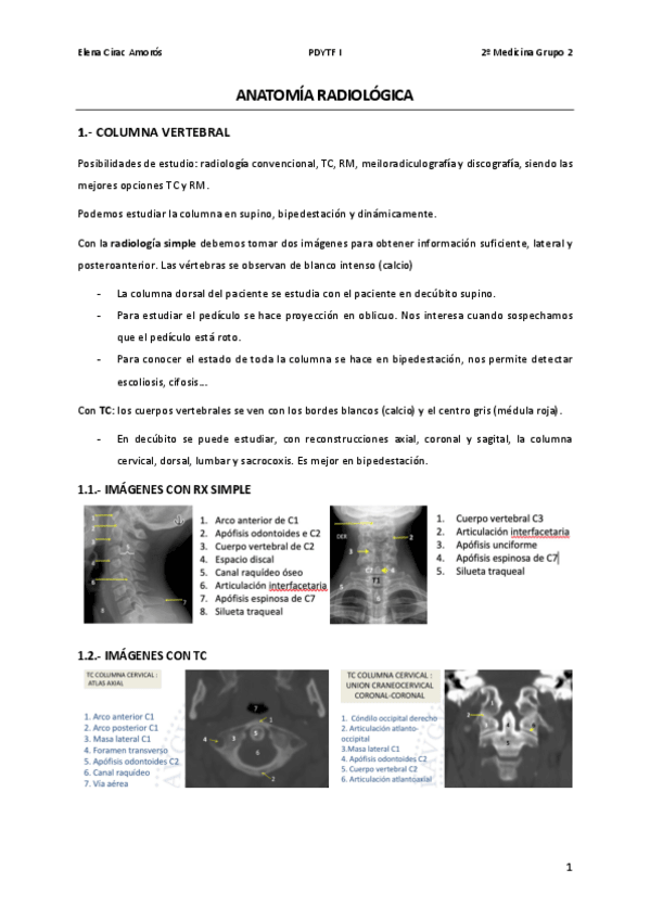 Miniatura del documento ANATOMIA-RADIOLOGICA2.pdf