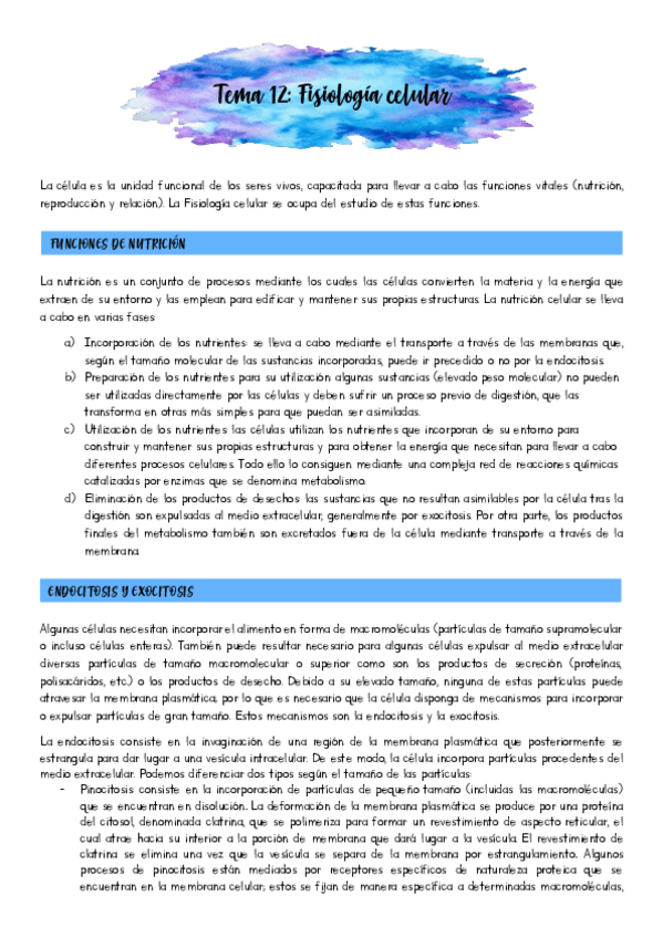 Miniatura del documento Tema-12-Fisiologia-celular.pdf