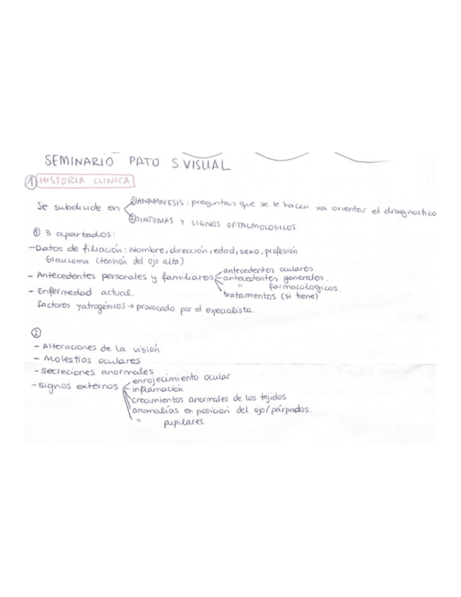 Miniatura del documento SEMINARIO-PATO-VISUAL.pdf