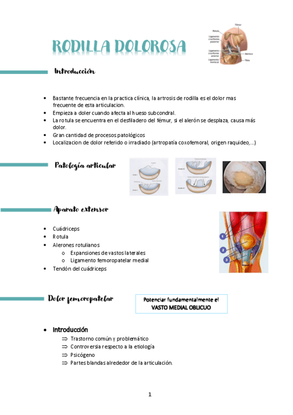 Miniatura del documento tema-4-y-tema-5-gonalgia-y-deformidades-pie.pdf
