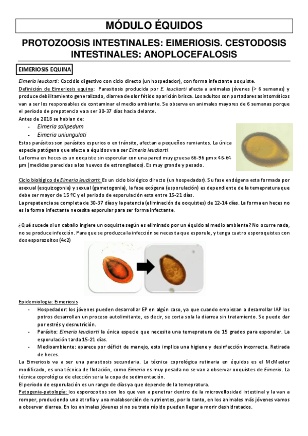 Miniatura del documento EIMERIOSIS-Y-CESTODOS-EQUINOS-.pdf