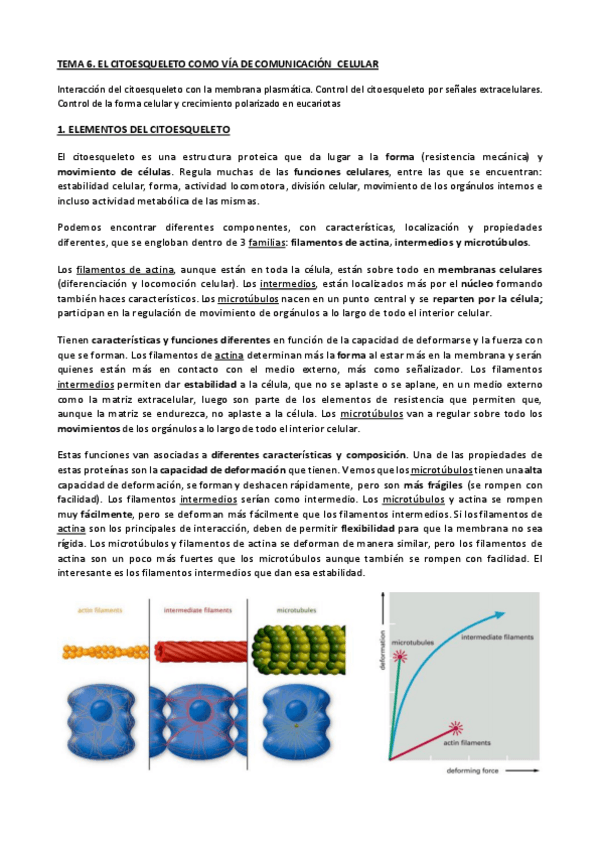 Miniatura del documento TEMA-6-CIC.pdf