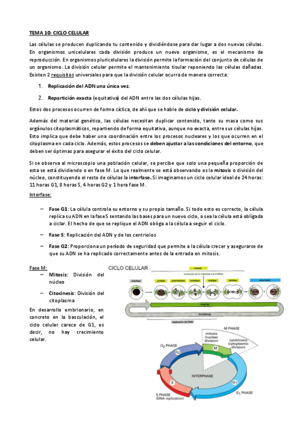 Miniatura del documento TEMA-10-cic.pdf
